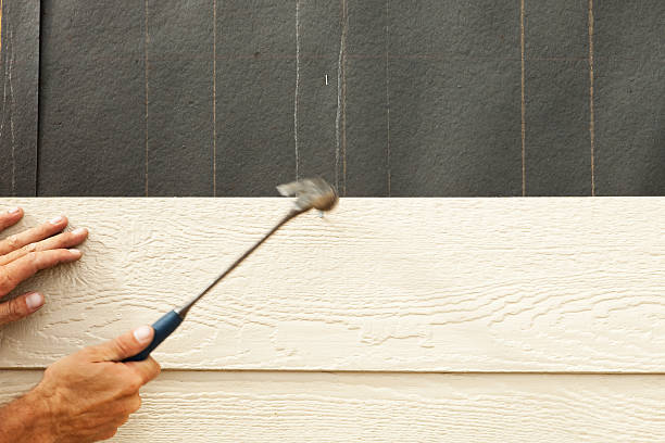 Best Siding Painting and Refinishing  in New Tazewell, TN